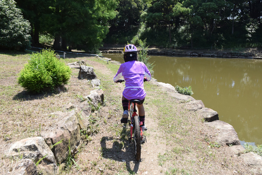 sekiamtb011.jpg