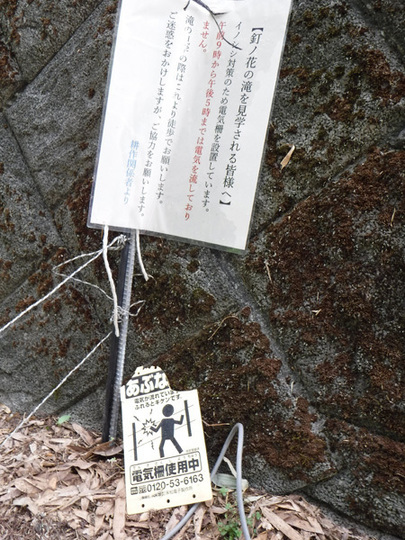 nym006.jpg